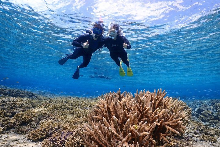 Tour privato di snorkeling di Miyakojima | Guida Inglese fluente