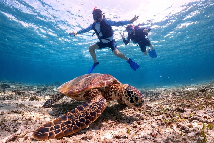 Tour privato di snorkeling di Miyakojima | Guida Inglese fluente