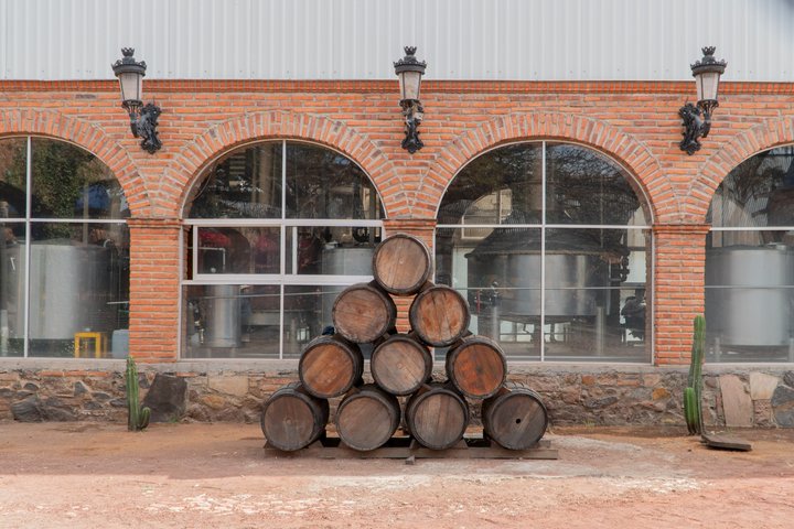 Klassieke tequilatour vanuit Guadalajara en uitgebreide cantaritos bij El Güero!