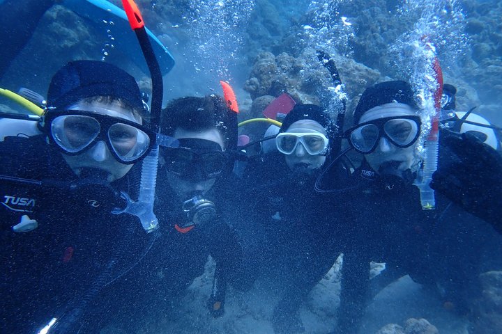 Dykkeroplevelse på Ishigaki Island ~ Tilgængelig selv om vinteren ~ Uanset regn ~ Udstyrsleje inkluderet ~ Brusere tilgængelige ~ Gratis billeder ~