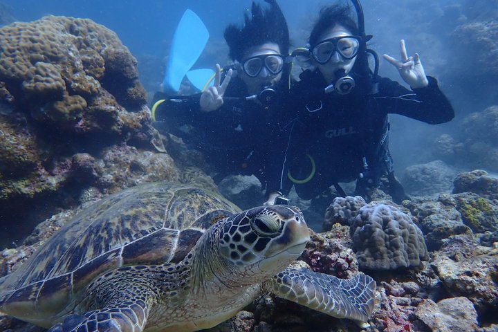 Dykkeroplevelse på Ishigaki Island ~ Tilgængelig selv om vinteren ~ Uanset regn ~ Udstyrsleje inkluderet ~ Brusere tilgængelige ~ Gratis billeder ~