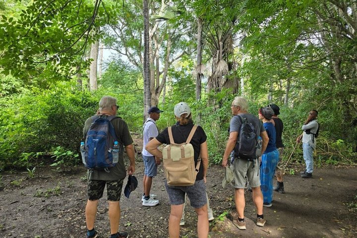 Tour en lancha rápida por el Parque Nacional de Komodo