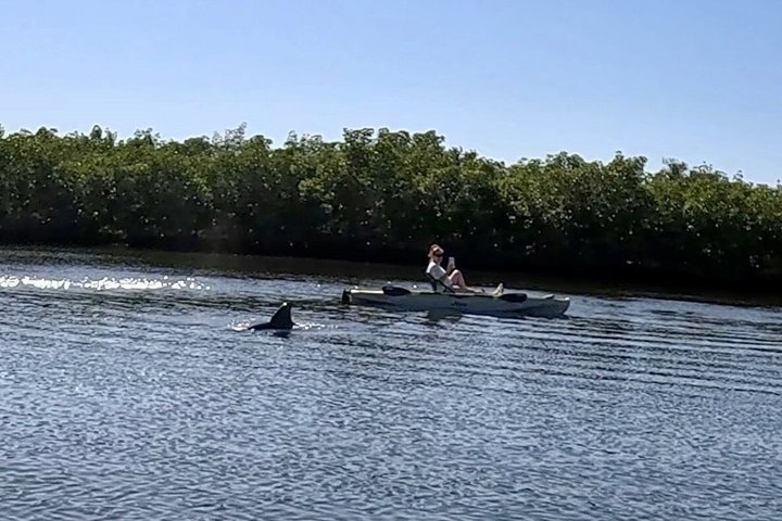 Restauranter i nærheten av Kickin' Kayaks Morning Wildlife Tour