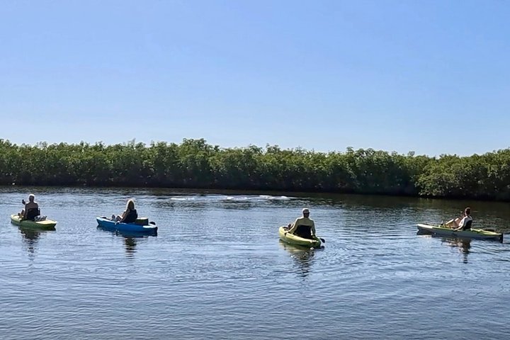 Restauranter i nærheten av Kickin' Kayaks Morning Wildlife Tour