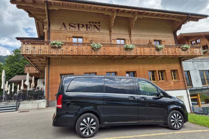 Privédagtrip van Konstanz naar Zürich en Rijnwatervallen