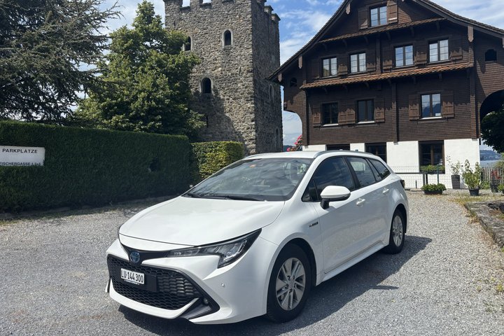 Privédagtrip van Konstanz naar Zürich en Rijnwatervallen