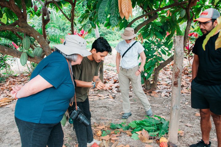 Hacienda CacaoyMango, Gastronomia, Cacao e Fabbrica di Cioccolato
