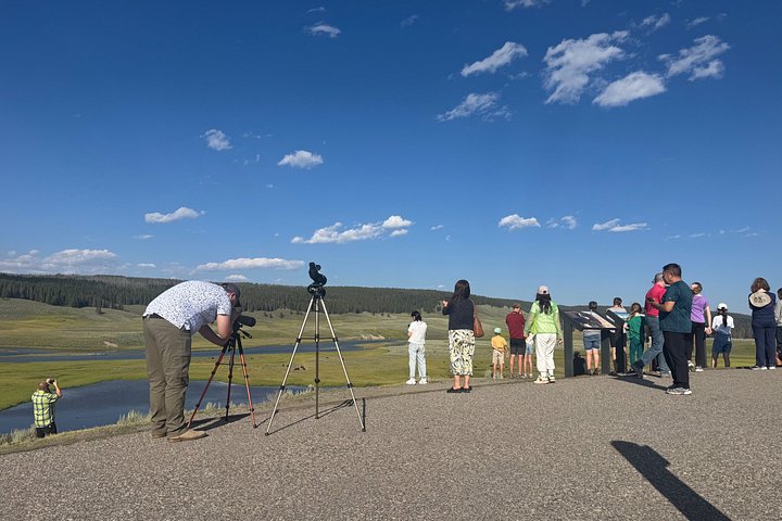 Tour di un giorno a Yellowstone Wildlife Safari