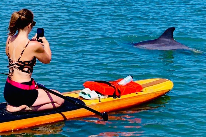 Daytona Beach Delfin & Seekühe Tour – Paddleboard oder Kajak