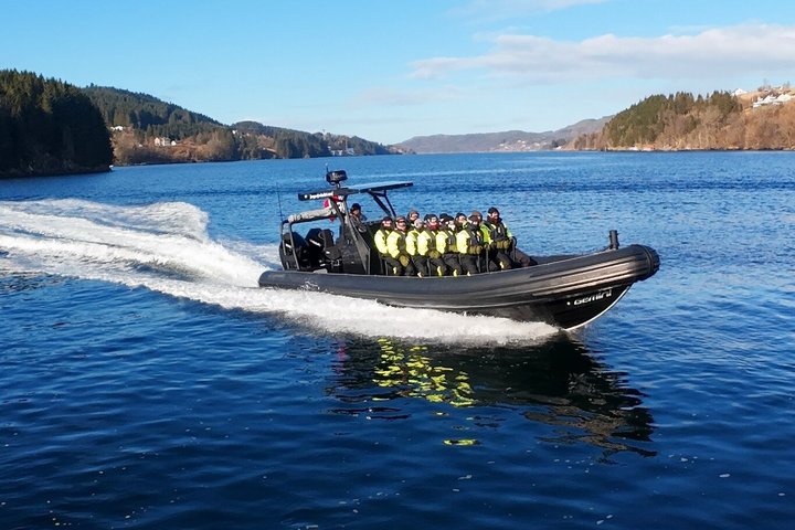 Bergen : Mostraumen Fjord Safari - par Premium RIB Boat