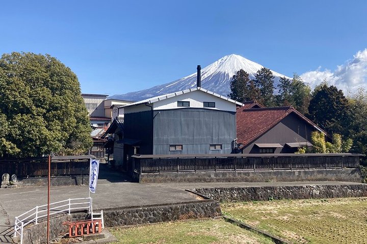 Excursion en voiture de groupe à Fuji par le port de Shimizu avec Guide local