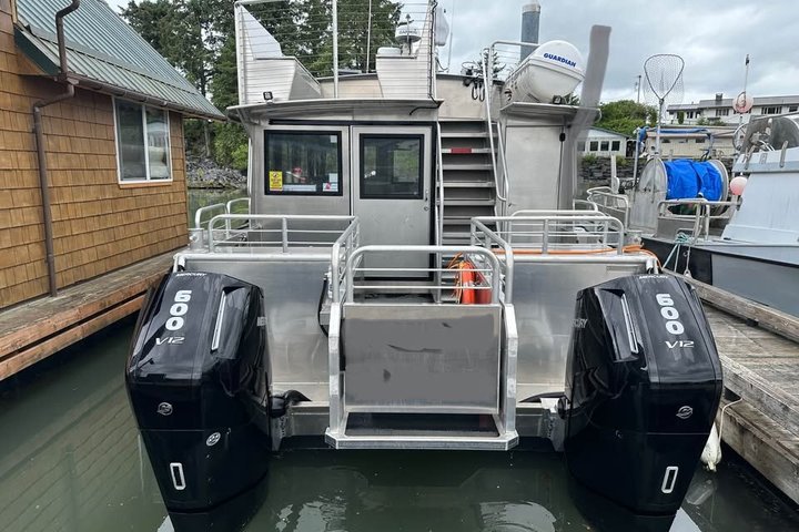 Wale und Mittagessen! Ketchikan's Premier Marine Säugetier Besichtigungstour