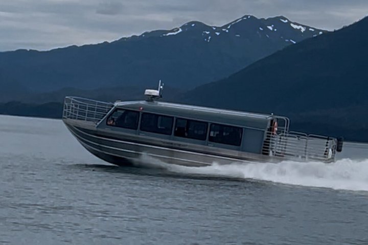 Observación de ballenas con un vistazo en el glaciar Mendenhall