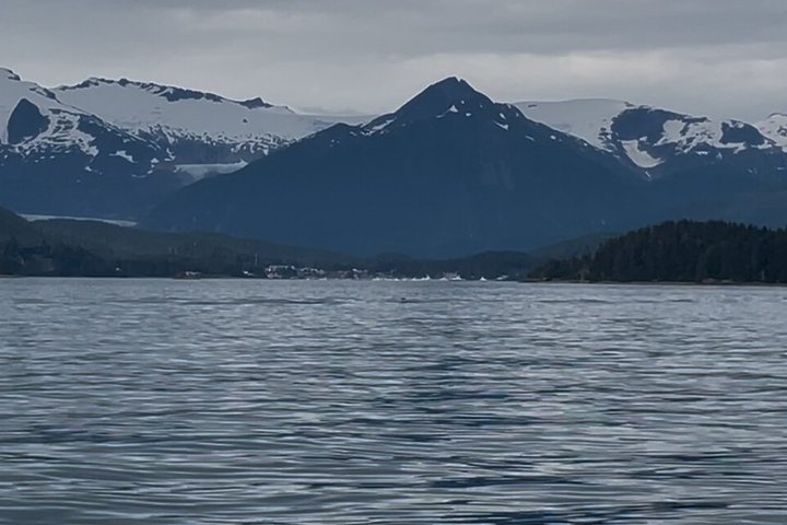 Observación de ballenas con un vistazo en el glaciar Mendenhall