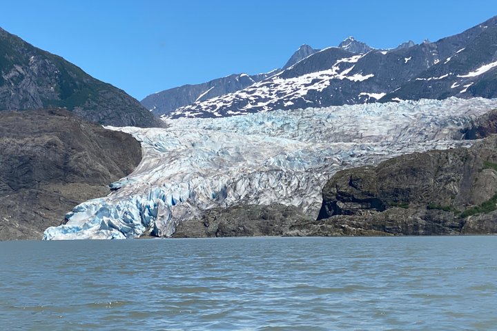 Observación de ballenas con un vistazo en el glaciar Mendenhall