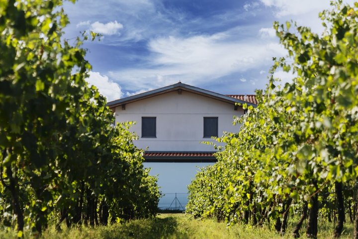 Modena Balsamic Vinegar Tour med Parmigiano og Gelato smagning