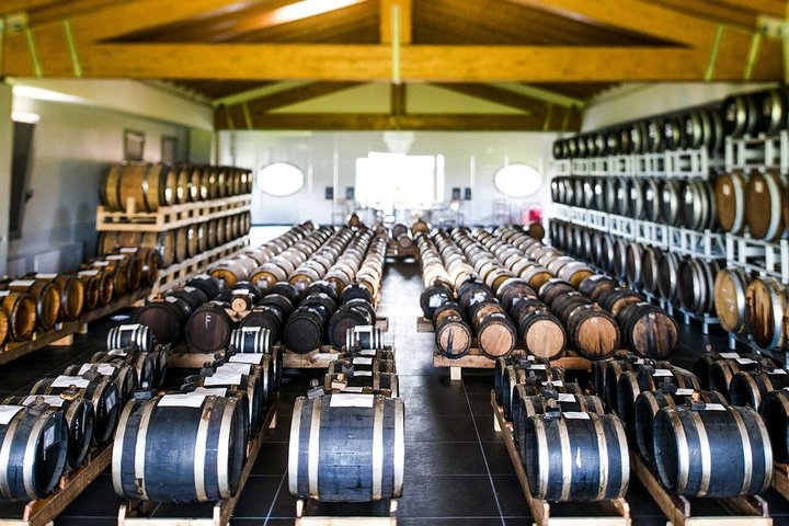 Modena Balsamic Vinegar Tour med Parmigiano og Gelato smagning