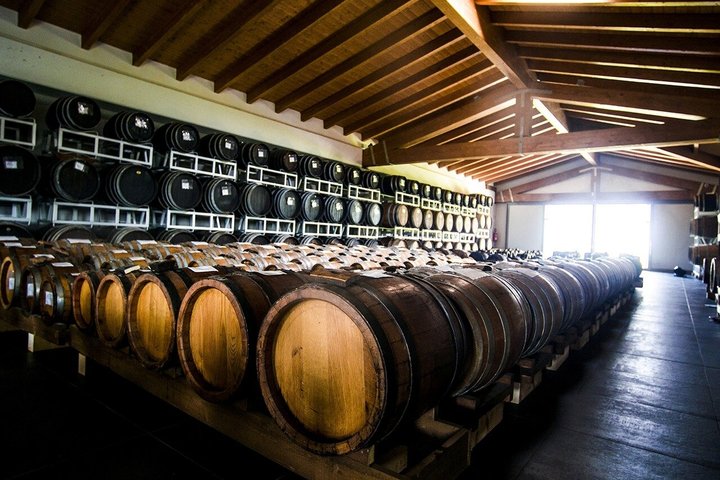 Modena Balsamic Vinegar Tour med Parmigiano og Gelato smagning