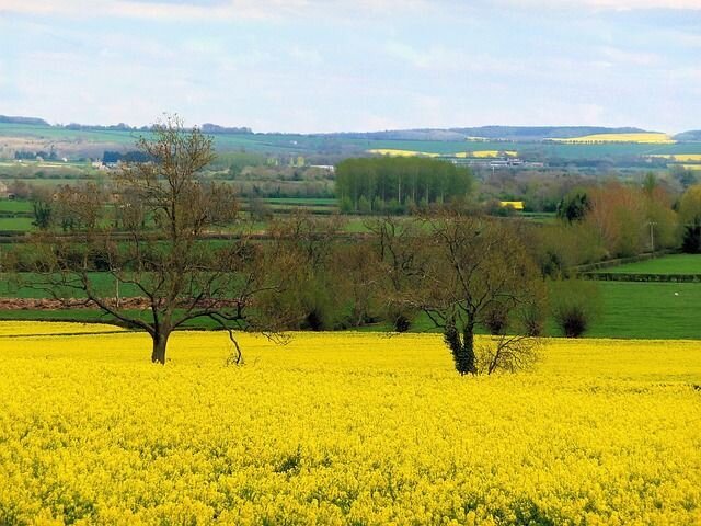 Guía de viaje por carretera de Cotswolds : Bourton, Bibury & Blenheim Palace