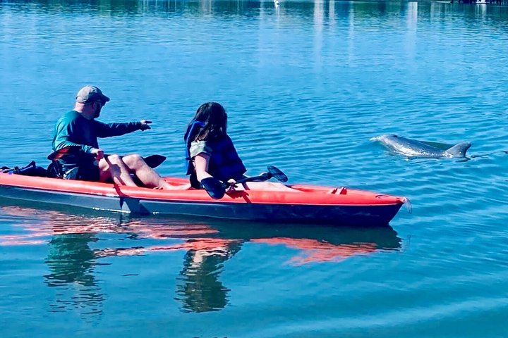 Hoteller i nærheden af Daytona Beach Dolphin & Manatee Kayak Wildlife Adventure