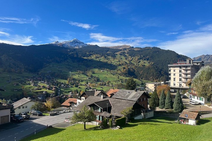 Vanuit Interlaken: Privétochten naar Grindelwald en Lauterbrunnen