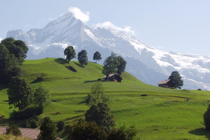 Vanuit Interlaken: Privétochten naar Grindelwald en Lauterbrunnen