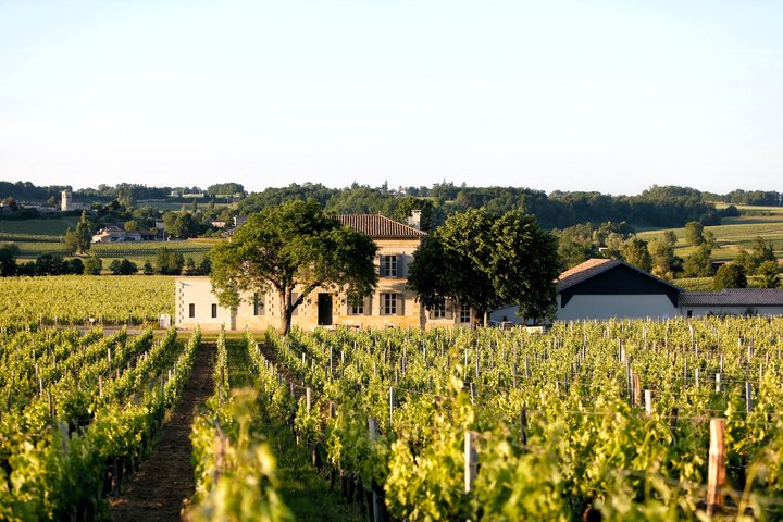 Château Grangey: Besuch und Verkostung im Herzen des Weinbergs