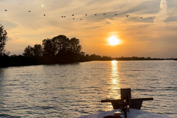 Utforsk Isola dell'Amore og dyreliv på en Po Delta båttur
