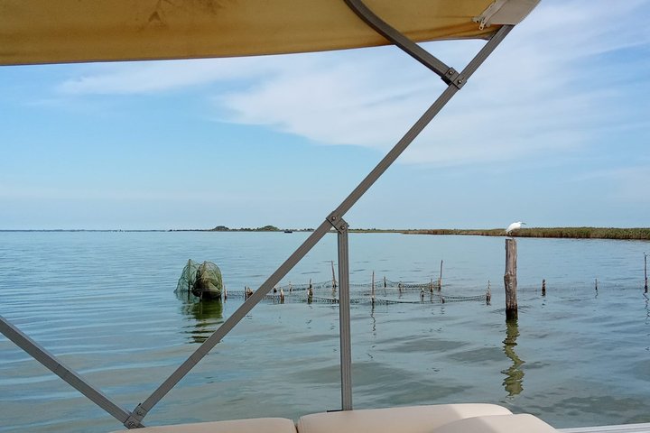 Utforsk Isola dell'Amore og dyreliv på en Po Delta båttur