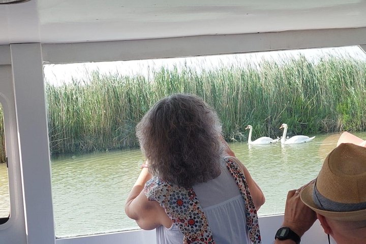 Utforsk Isola dell'Amore og dyreliv på en Po Delta båttur