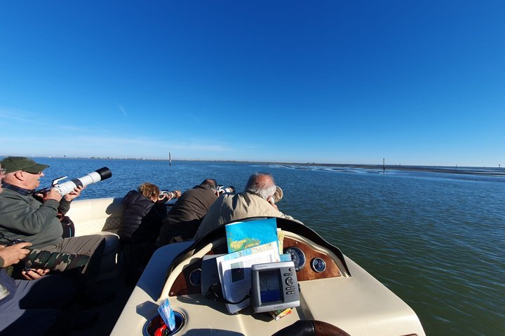 Utforsk Isola dell'Amore og dyreliv på en Po Delta båttur