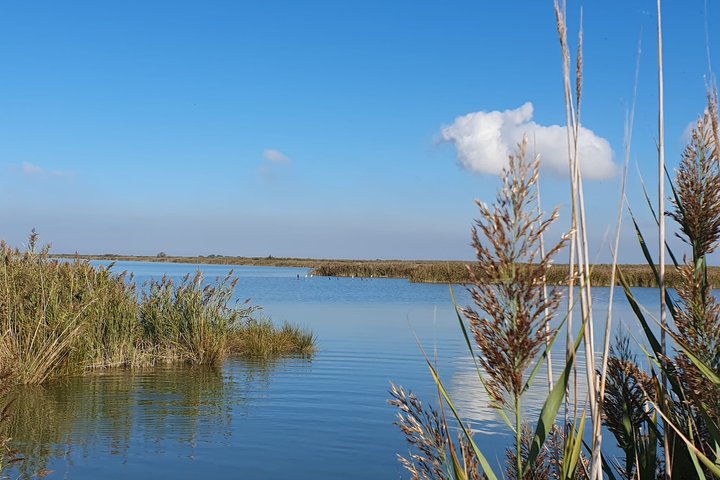 Utforsk Isola dell'Amore og dyreliv på en Po Delta båttur