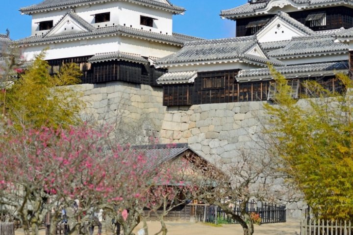 Matsuyama Slot Ninomaru Have Premium teceremonioplevelse
