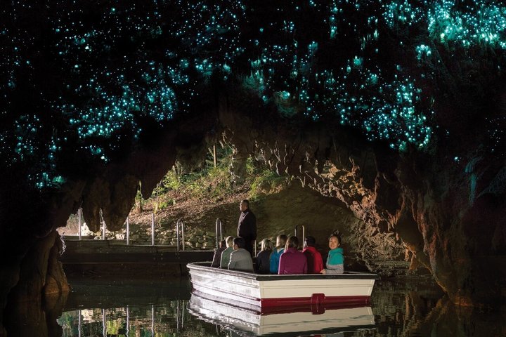 Visita guiada a las cuevas de Hobbiton y Waitomo desde Auckland con almuerzo