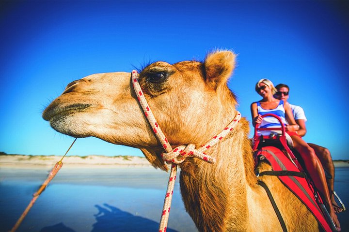 Tour de 1 hora en camello al atardecer por Broome en Cable Beach, Broome