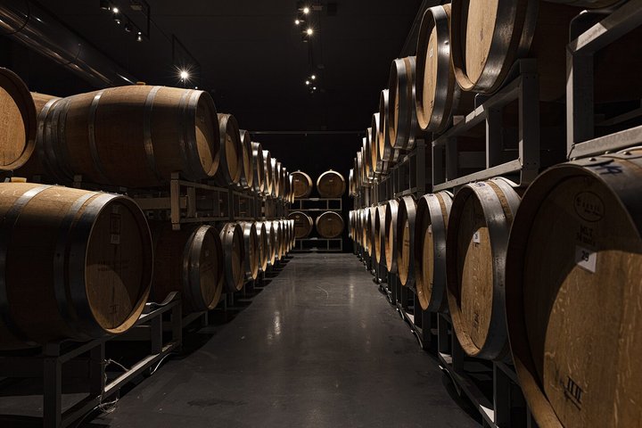 Visita ao vinho e degustação de vinhos de Lugana perto de Sirmione