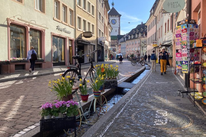 Partindo de Estrasburgo, visite a Floresta Negra em Triberg, Titisee e Freiburg.