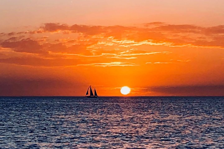 Passeio de barco ao pôr do sol com golfinhos na Ilha Anna Maria