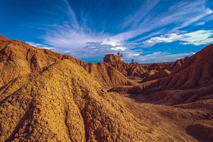 Desierto De La Tatacoa y San Agustín 4 Días 3 Noches