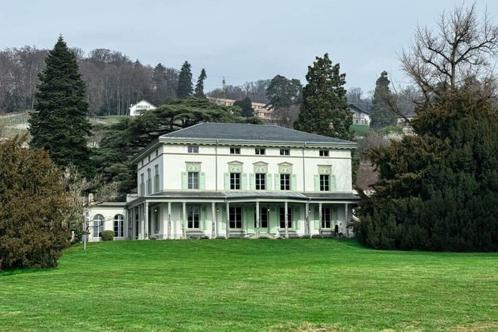 Privat dagstur från Montreux till Genève och Vevey