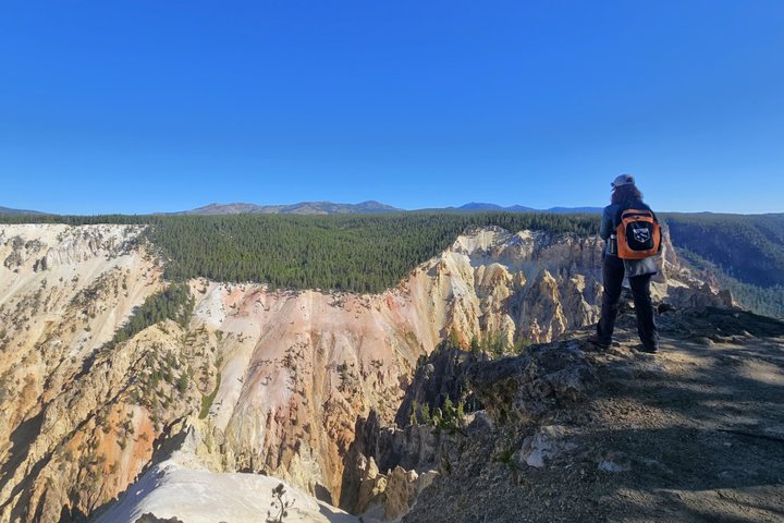 Grand Canyon do Yellowstone Rim and Loop Hike com almoço
