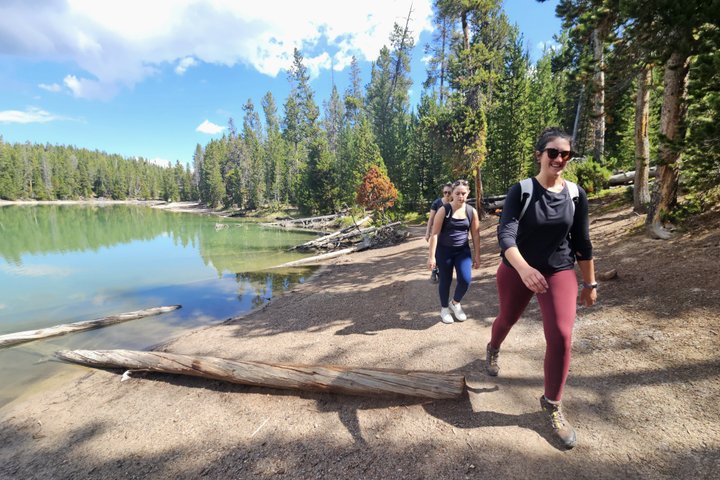 Grand Canyon do Yellowstone Rim and Loop Hike com almoço