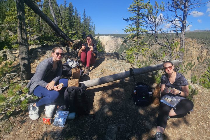 Grand Canyon do Yellowstone Rim and Loop Hike com almoço
