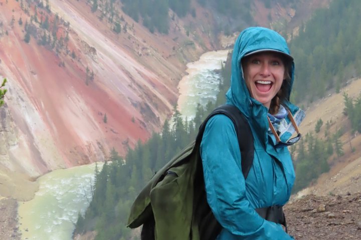 Grand Canyon do Yellowstone Rim and Loop Hike com almoço