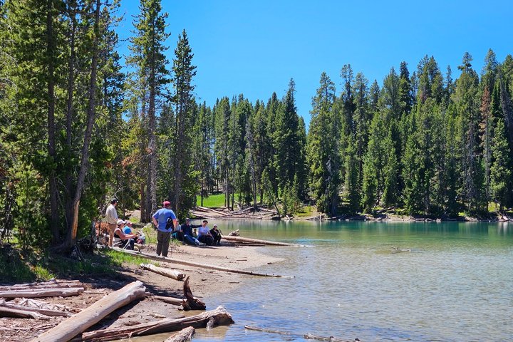 Grand Canyon do Yellowstone Rim and Loop Hike com almoço
