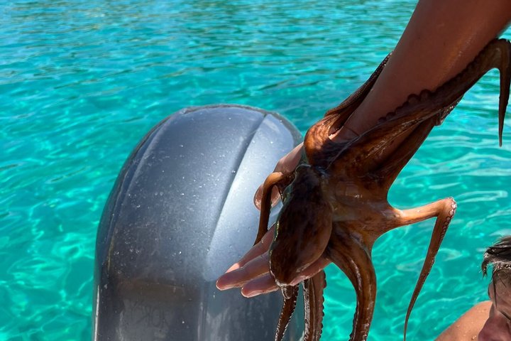 Ksamil Boat Tour privat erfarenhet med simning och snorkling