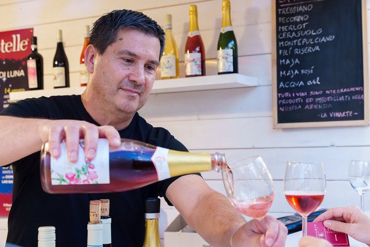 Degustación de Vinos y Visita Guiada al Viñedo y Bodega en S. Maria Imbaro