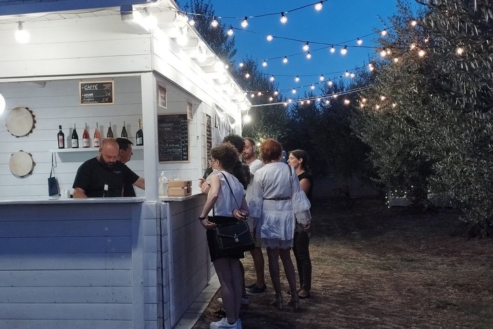 Degustación de Vinos y Visita Guiada al Viñedo y Bodega en S. Maria Imbaro