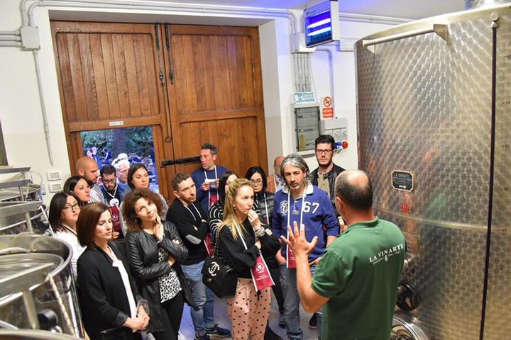 Degustación de Vinos y Visita Guiada al Viñedo y Bodega en S. Maria Imbaro