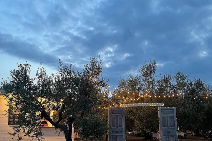 Degustación de Vinos y Visita Guiada al Viñedo y Bodega en S. Maria Imbaro
